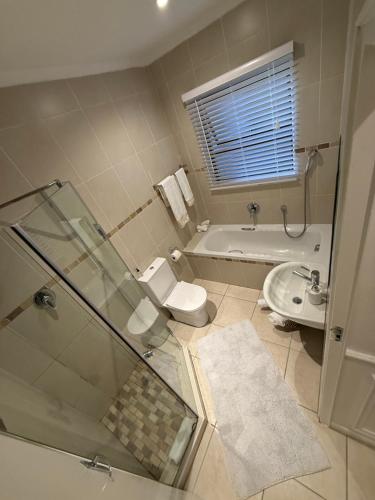 a bathroom with a shower and a toilet and a sink at DOMIN LUXURY SUITES in Cape Town