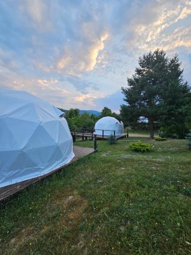 Giardino di The Grand Prestige Igloo