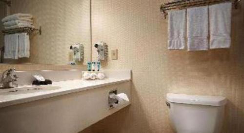 Best Western Plus Twin View Inn and Suitesにあるバスルーム