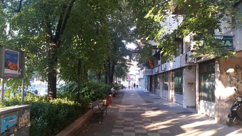 a tree lined street in a city with buildings at Risto Apartment in Skopje