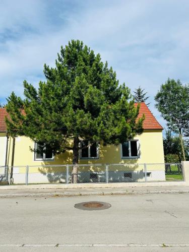a yellow house with a tree in front of it at Guesthouse Tulln in Tulln
