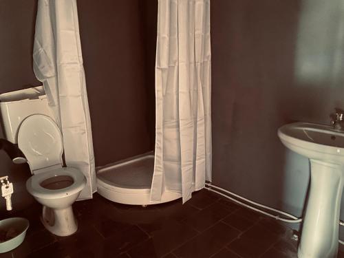 a bathroom with a toilet and a sink at Panorama Lupilor in Coleşti