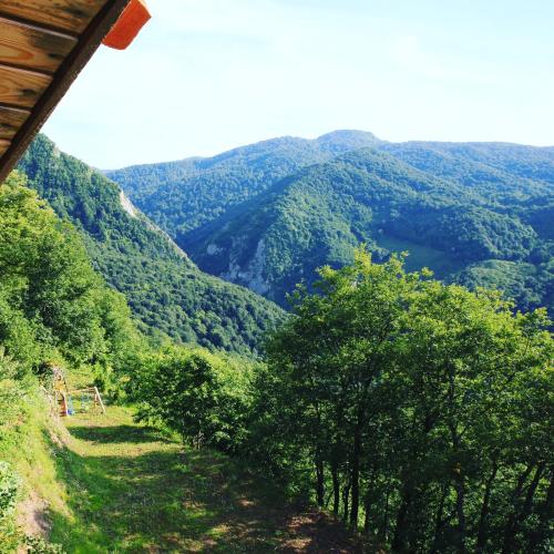 a view of a valley with trees and mountains at Zirve Dağ Evi in Kocaeli