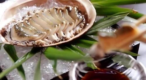a close up of a shell on a glass plate at Hotel Shofuen in Toyohashi