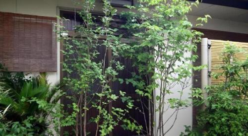 a fence in front of a house with plants at Suigetsurou Hotel in Takaoka