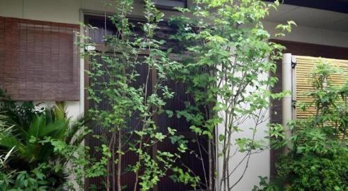 a fence in front of a house with plants at Suigetsurou Hotel in Takaoka