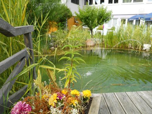 a pond with a bunch of flowers in front of it at Hotel Paradiesquelle in Puchberg am Schneeberg