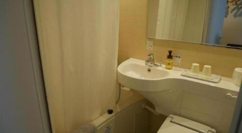 a bathroom with a sink and a toilet and a mirror at E Hotel Kumagaya Annex in Kumagaya