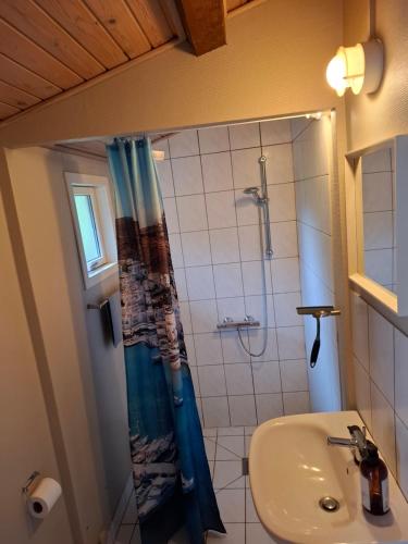 a bathroom with a shower and a sink at Hummingen strandvej 66 in Dannemare