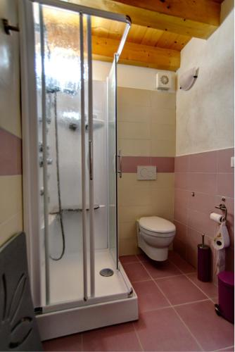 a bathroom with a shower and a toilet at Agriturismo "Antico Borgo" in Marostica