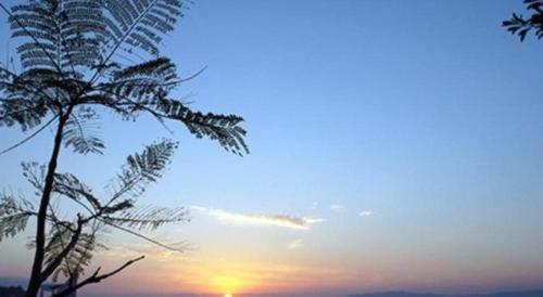 a palm tree with the sunset in the background at Hamakan Hotel in Unzen