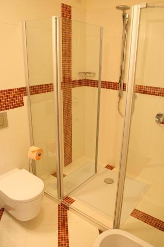 a bathroom with a shower and a toilet at Hotel Villa Cittar in Novigrad Istria