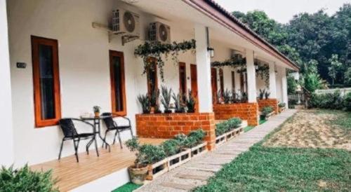 Zahrada ubytování CoZy House Chiangrai