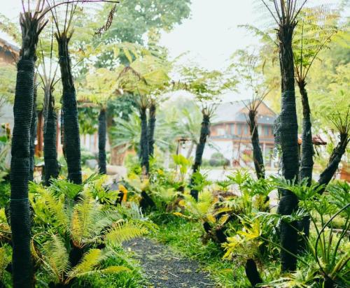 a garden with palm trees and plants and a building at Jun's Home in Buon Ma Thuot