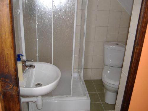 Kúpeľňa v ubytovaní Aniel Privat