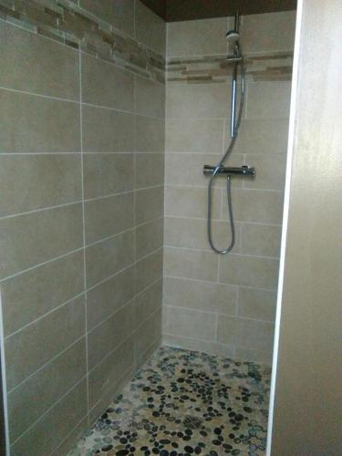 La salle de bains est pourvue d'une douche carrelée. dans l'établissement La Dolce Vita, à Jeuxey