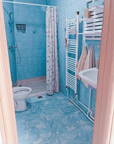 Vonios kambarys apgyvendinimo įstaigoje Apartman Ohren