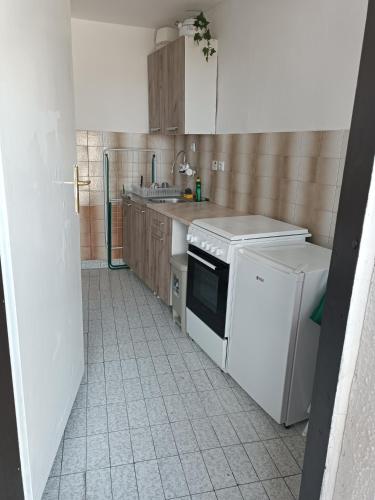 Virtuvė arba virtuvėlė apgyvendinimo įstaigoje Apartman Ohren