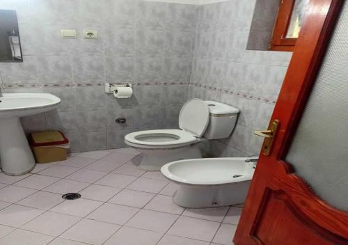 a bathroom with a toilet and a sink at Vila 1926 Entrepreneur in Polisi i Vogël