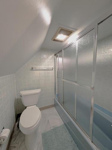 a bathroom with a toilet and a walk in shower at The Avondale Attic in Chicago