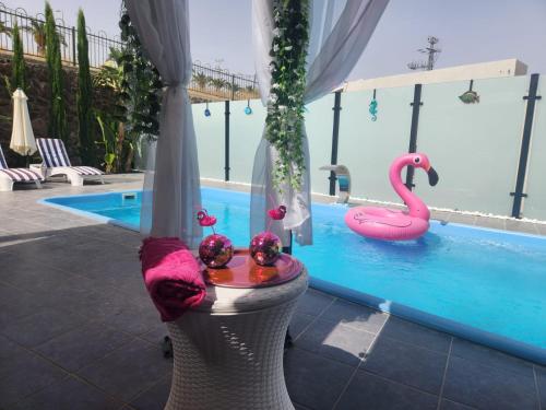 a swimming pool with a pink swan in the water at Tropicana in Amnon