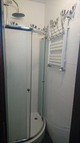 a bathroom with a glass shower with a toilet at Cyprysowa 7 in Kiełczów