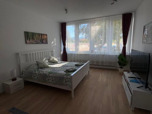Apartment Monchi
