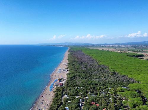 an aerial view of a beach and the ocean at ISA - Felci 19, apartment 6 beds in Marina di Bibbona just 300 mt from the sea in Marina di Bibbona