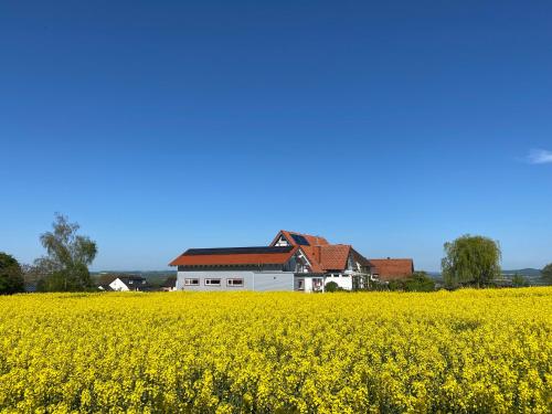 Příroda nedaleko prázdninového domu