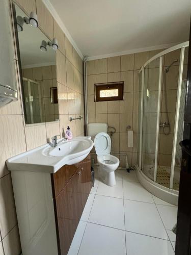 a bathroom with a sink and a toilet at Pensiunea Namaesti in Nămăeşti