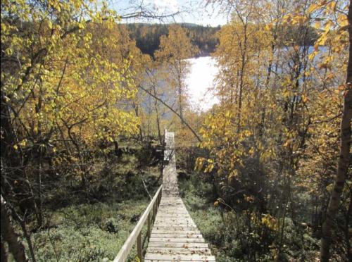 a wooden path leading to a lake with a bridge at Luonto, das Blockhaus in Inari