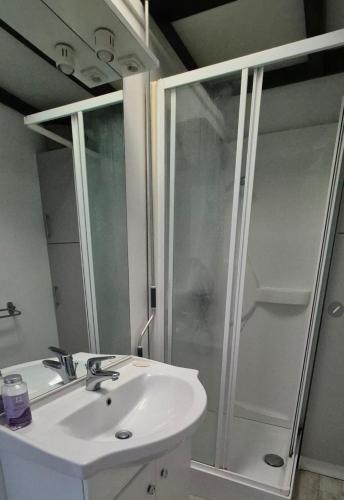 Léon Apartment في ليون: حمام مزود بمغسلة ودش