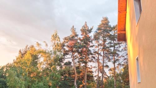 Ảnh trong thư viện ảnh của Margarita Mountain Apartments ở Tsigov Chark