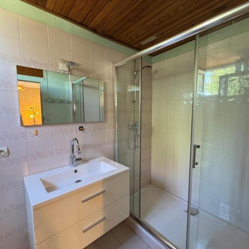 un bagno con lavandino e doccia di La Cabane du Pecheur - Premiere conciergerie a Palavas-les-Flots