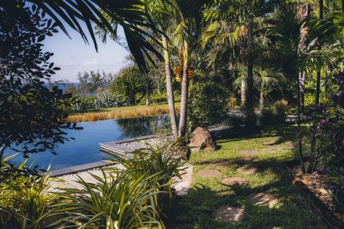 a garden with palm trees and a pond at Domaine du Cap Sauvage in Saint-Joseph