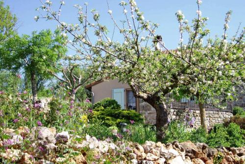 Κήπος έξω από το La Maison du Tailleur