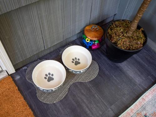 three bowls with paw prints on them sitting on a floor at Ellendale Rd Moreland Hills 