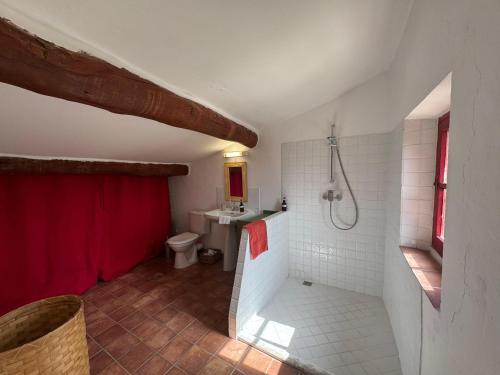 a bathroom with a shower and a sink and a toilet at Maison du Berger - Vignoble Château Barbebelle, Rognes, maison provençale avec jardin partagé et parking - proche d'Aix-en-Provence - 5 personnes in Rognes