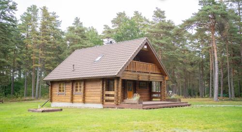a small log cabin in a field of grass at Mere Holiday Home in Yarve-Keskranna