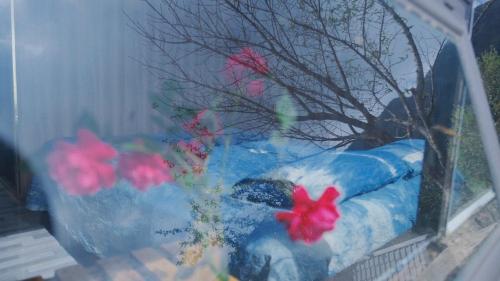 Φωτογραφία από το άλμπουμ του ThongDong homestay- Venuestay σε Bản Bé