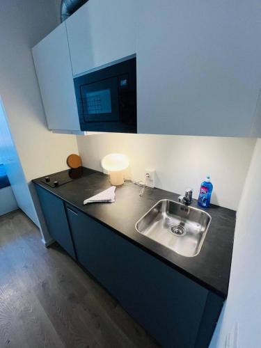 a kitchen counter with a sink and a microwave at Copenhagen Studio Double Bed and Kitchen 3 in Copenhagen
