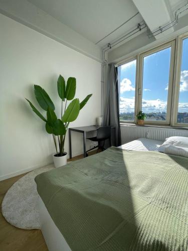 コペンハーゲンにあるNorrebro big aptのベッドと鉢植えのある寝室