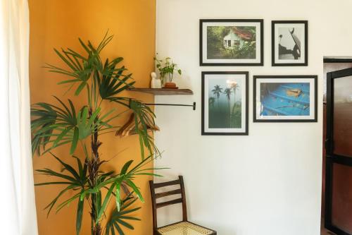 a room with a plant and pictures on the wall at Lotus Surf And Wellness in Ahangama