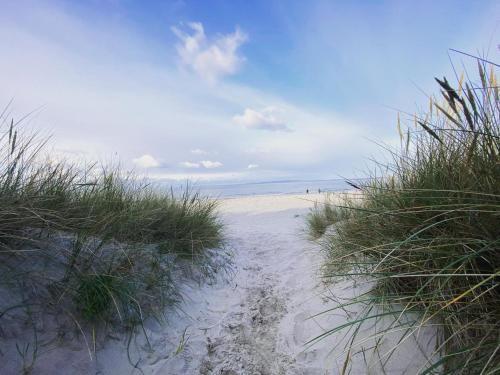 Příroda nedaleko prázdninového domu