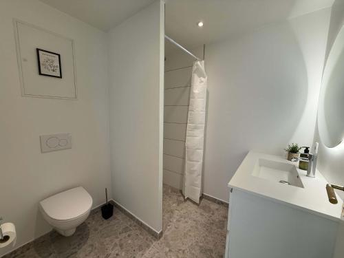 オーデンセにあるCentral Odense Lovely Apartmentのトイレと洗面台を備えた白いバスルーム