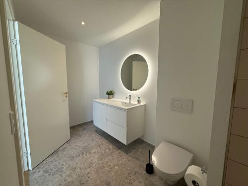 a bathroom with a sink and a toilet and a mirror at Luxurious Odense Residence in Odense