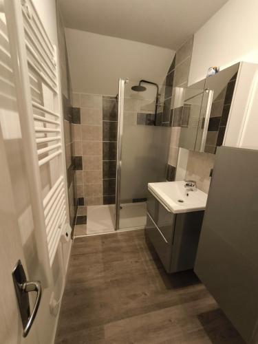 a bathroom with a shower and a sink at L'étoile de rocroy in Rocroi