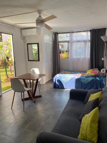 Superbe studio Marina pointe du bout