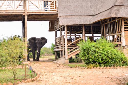Imagen de la galería de Tabingi Safari Lodge, en Katunguru