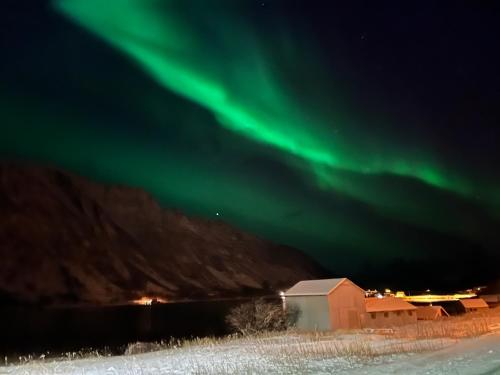 an image of the aurora dancing in the sky at Fantastic house with seafront property in Gryllefjord in Gryllefjord